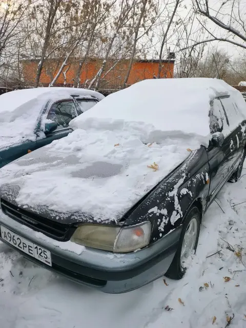 Автомобиль марки Toyota Caldina, г/н А962РЕ125 , по карточке ТС 1993 г.в., № двигателя 6634345