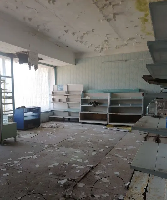 Аренда объекта: Нежилое помещение (магазин), Приморский край, Ханкайский р-н, с. Камень-Рыболов, ул. Калинина, д. 8А, Литер А28, в/г 1, общая площадь 131,3 кв.м. (открытая территория), кадастровый № 25:19:030201:1847