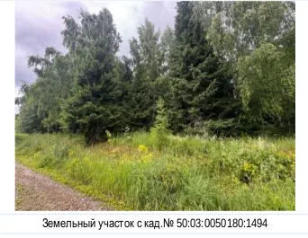 Земельный участок с кадастровым номером 50:03:0050180:1494