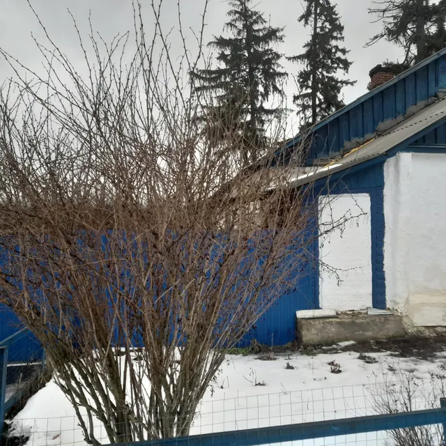 Жилое помещение, назначение: жилое, общей площадью 31,1 кв.м., кадастровый номер 46:32:010103:6820, расположенное по адресу: Российская Федерация, Курская область, г. Льгов, ул. Зеленая, д. 18, кв. 2