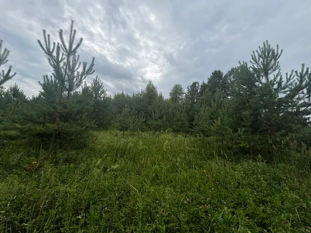 Аукцион в отношении земельного участка с КН 50:29:0040704:351