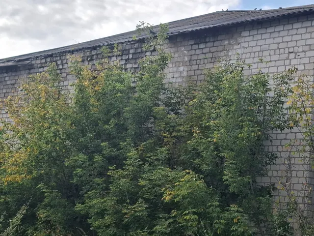 Незавершенный строительством объект площадью 1277,1 кв. м, площадь застройки 547,5 кв. м, кадастровый номер 22:49:020006:583;земельный участок площадью 3062 кв. м, кадастровый номер 22:49:020006:21,  расположенные по адресу: Алтайский край, Топчихинский район, с. Фунтики, ул. Юбилейная, д. 23