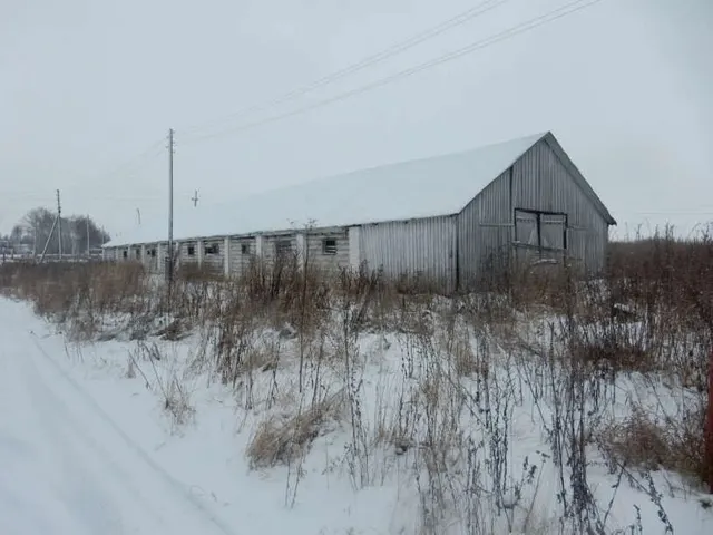 Публичное предложение по продаже лота - земельный участок с кадастровым номером 12:04:0000000:9677 площадью 36452 кв. м с расположенными на нем объектами недвижимого имущества, местоположение: Российская Федерация, Республика Марий Эл, Медведевский р-н., с. Ежово