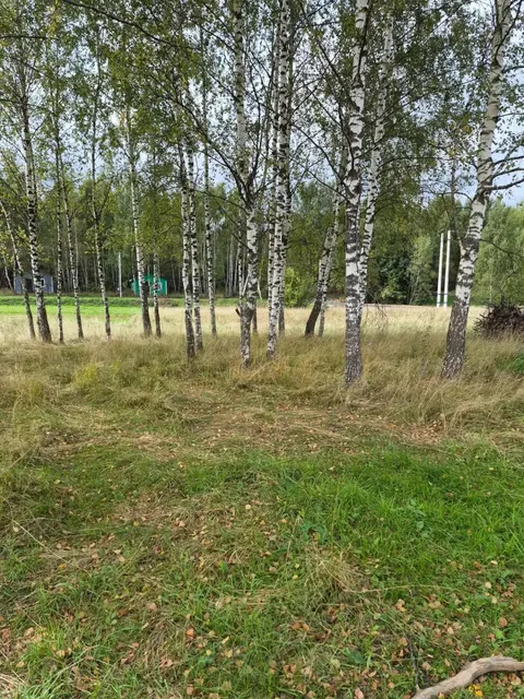 Аукцион в отношении земельного участка с КН 50:14:0030518:942