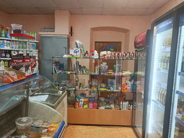 Нежилое здание, общей площадью 94,9 кв.м., КН 66:11:4701001:237, расположенное по адресу: Свердловская область, Ирбитский район, с. Белослудское, ул. 60 лет Октября, д. 1в