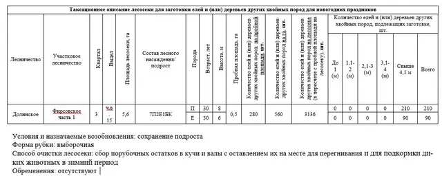 Право заключения договора купли-продажи лесных насаждений для заготовки елей и (или) деревьев других хвойных пород для новогодних праздников в границах земель лесного фонда Долинского лесничества