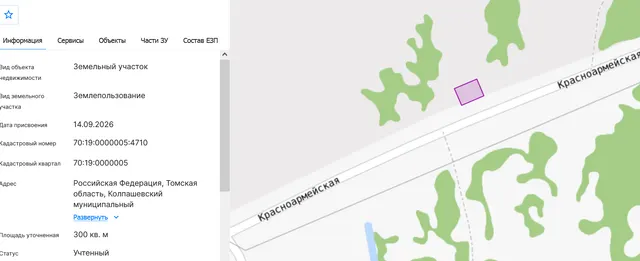 Право заключения договора аренды земельного участка, государственная собственность на который не разграничена, с кадастровым номером 70:19:0000005:4710, площадью 300 кв.м., с категорией земель: земли населенных пунктов, расположенного по адресу: Российская Федерация,Томская область, Колпашевский муниципальный район, Колпашевское городское поселение, г. Колпашево, ул. Красноармейская, 113/2