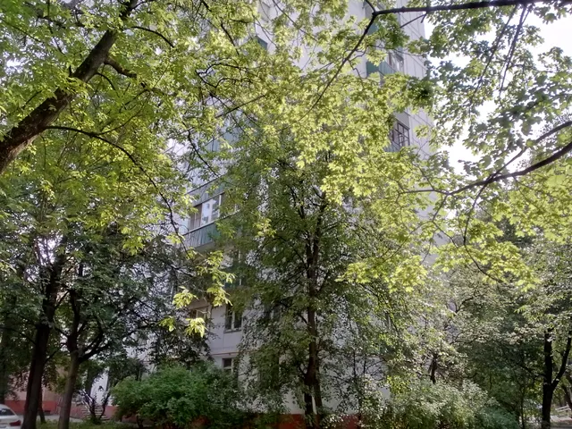 Продажа имущества, находящегося в собственности города Москвы, нежилое помещение по адресу: г. Москва, ул. Соколиной Горы 5-я, д. 25, корп. 1, пом. 1/1,  общей площадью 162,8 кв. м. (Этаж № 1), кадастровый номер: 77:03:0004007:6448