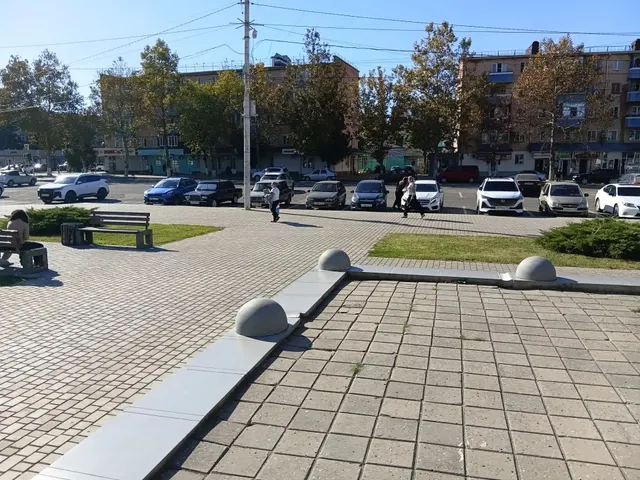 Размещение НТО елочный базар