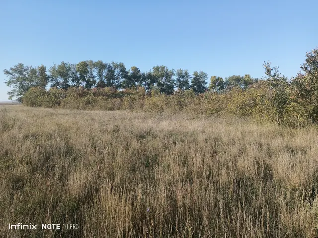 Земельный участок  с кадастровым номером 22:26:040204:474,  общей площадью 989129+/-8702  кв.м. Местоположение участка: Алтайский край, Локтевский район, МО Самарский сельсовет.