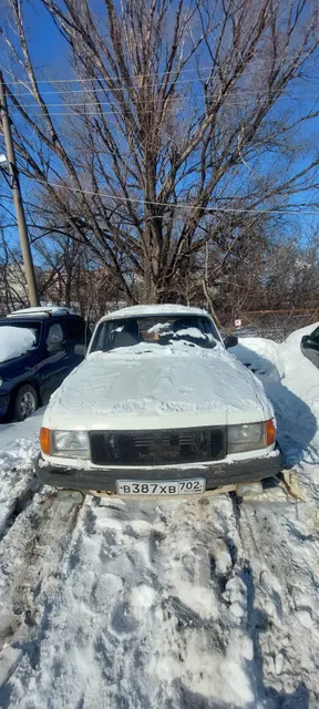 ГАЗ 310220, 1995 г.в., г/н В387ХВ702, vin XTH310220s0003788