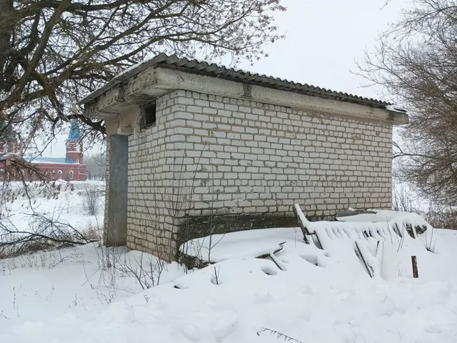 Здание, детский сад, назначение: нежилое, площадь 683,3 кв.м., кадастровый номер 48:13:1430109:28; уборная, назначение: нежилое, площадь 12,2 кв.м., кадастровый номер 48:13:1430109:27;ограждение, сооружение, протяженность 221 м., кадастровый номер 48:13:1430109:25;земельный участок площадью 4530 кв.м, кадастровый номер 48:13:1430109:7, местоположение Российская Федерация, Липецкая область, м.о. Липецкий, с. Васильевка, ул. Центральная, з/у 41