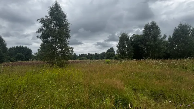 Аукцион в отношении земельного участка с КН 50:03:0030204:714