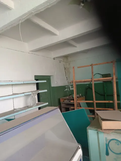 Нежилое здание - магазин, общей площадью 145,1 кв.м., назначение - нежилое,  с земельным участком, общей площадью 252 кв.м., с кадастровым номером 74:01:0412001:116