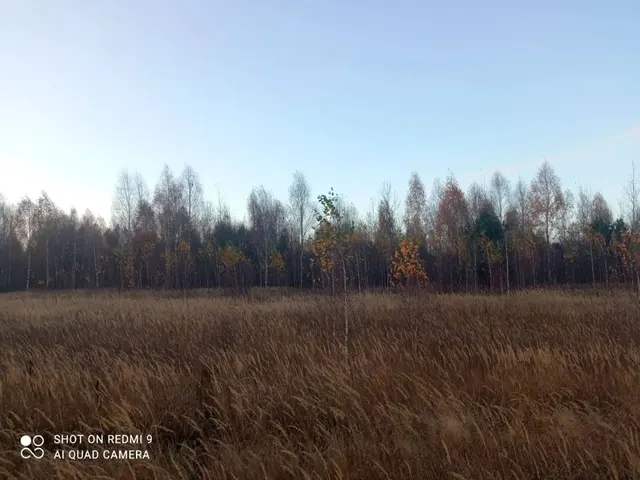 на право заключения договора аренды земельного участка с кадастровым номером 62:25:0060401:623, принадлежащего на праве собственности  муниципальному образованию – Задубровское сельское поселение Шиловского муниципального района Рязанской области, площадью 990 000 кв.м, из земель сельскохозяйственного назначения, с разрешенным использованием – для сельскохозяйственного использования, местоположение: Рязанская область, Шиловский район, с. Красный Холм