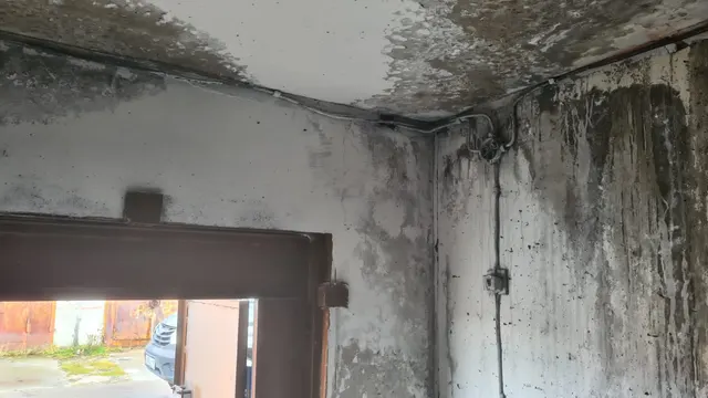 Нежилое помещение (гараж) площадью 19.2 кв.м., с кадастровым номером 89:13:010110:91, РФИ П13720003808 расположенного по адресу: Ямало-Ненецкий автономный округ, г Муравленко, ул Дружбы Народов, микрорайон 8-а, гаражный комплекс 2, корпус 2, Бокс № 19