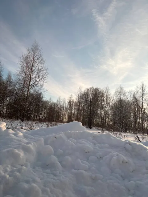 Аукцион в отношении земельного участка с КН 50:33:0020525:862
