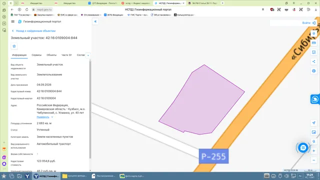 Земельный участок, расположенный по адресу: Российская Федерация, Кемеровская область - Кузбасс, муниципальный округ Чебулинский, село Усманка, улица 40 лет Победы, земельный участок 1Е