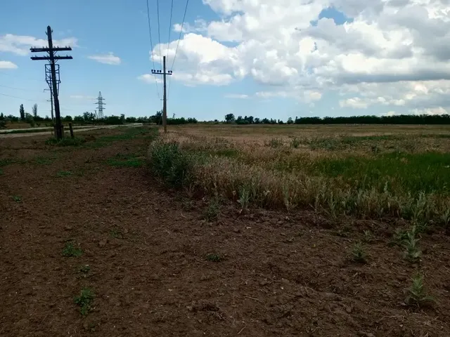 Заключение договора аренды земельного участка