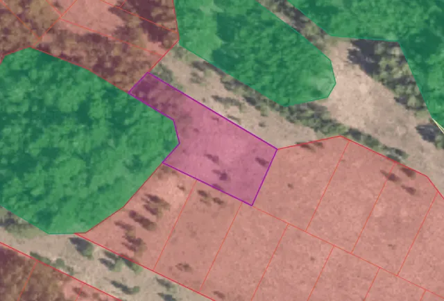 Земельный участок с кадастровым номером 55:20:170804:666