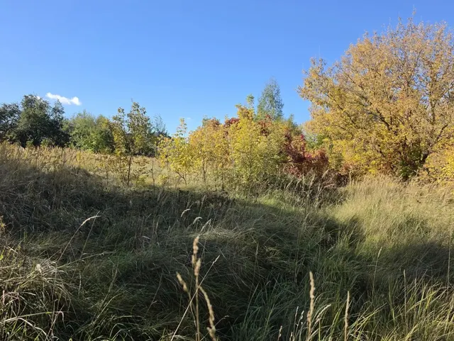 Аукцион в отношении земельного участка с КН 50:16:0501003:3144