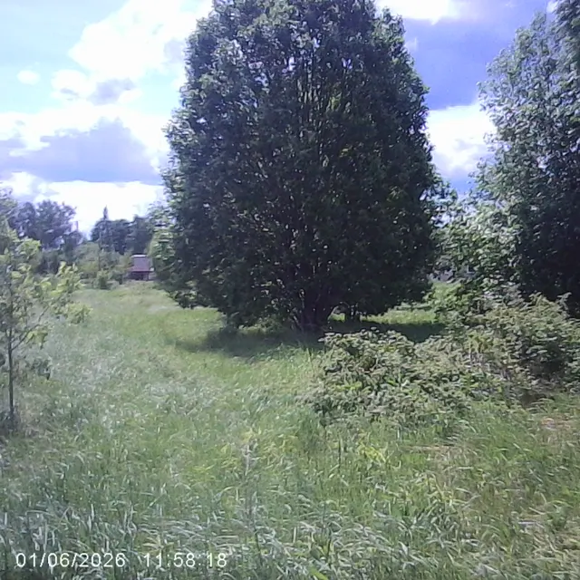 Аукцион в отношении земельного участка с КН 50:06:0020202:2743