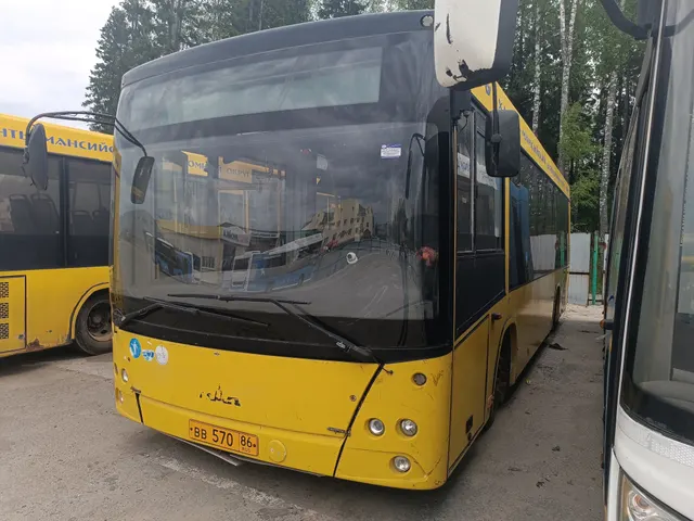 Автобус МАЗ 206085, государственный регистрационный знак ВВ 570 86
