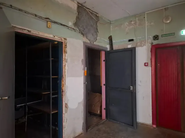 нежилое помещение площадью 233,6 кв.м., кадастровый номер: 14:36:105022:1976, расположенное по адресу: Российская Федерация, Республика Саха (Якутия), г. Якутск, ул. Орджоникидзе, д. 10