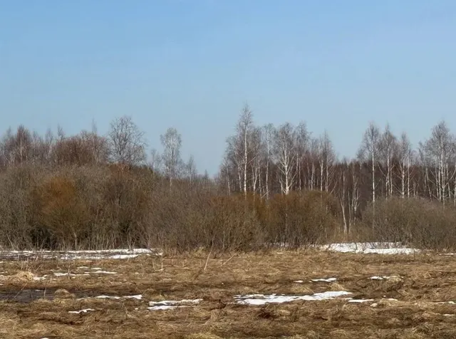 Аукцион в отношении земельного участка с КН 50:18:0080412:1424