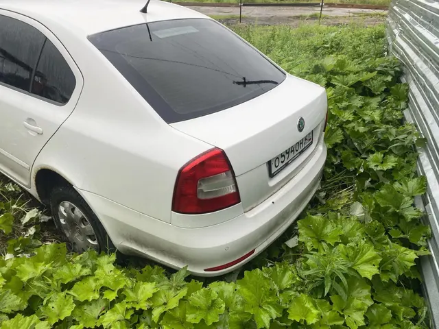 Транспортное средство Skoda Octavia, 2013 года выпуска, цвет – белый, VIN TMBCA41Z5D2125360, государственный номер О594ОН29