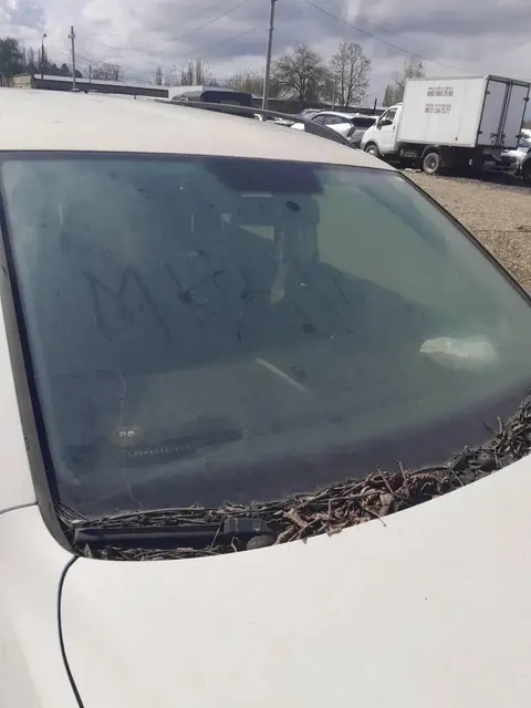 Д-к: Мамедов А.И. Легковой автомобиль VOLKSWAGEN TOURAN, 2014 г.в., г/н Е048МК07, VIN WVGZZZ1TZFW030872