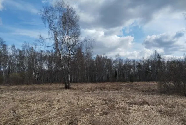 Аукцион в отношении земельного участка с КН 50:04:0130303:1490
