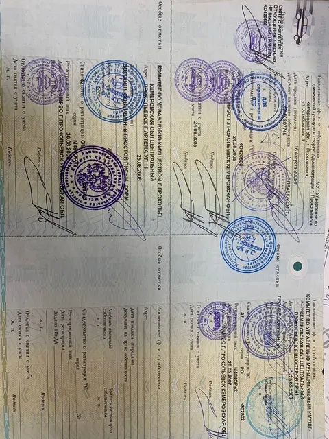Автобус ПАЗ 32053, идентификационный номер Х1М32053050006184, год изготовления 2005, категория D, модель номер двигателя 523400 51017230, кузов  № 50006184 цвет бело синий, мощность двигателя 130 л.с., рабочий объем двигателя 4670, тип двигателя бензиновый, разрешенная максимальная масса 7705 кг, масса без нагрузки 4720 кг, изготовитель ООО «Павловский автобусный завод»,  гос. регистрационный знак М484ОР42