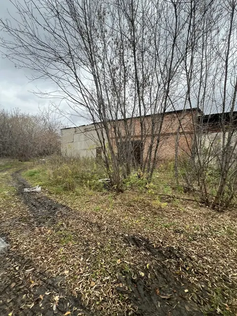 Земельный участок общей площадью 58 524,86 кв.м., с кадастровым номером 42:27:0104001:62, с расположенными на нем объектами недвижимого имущества, по адресу: Кемеровская область, р-н Мариинский, г. Мариинск, ул. Пальчикова, д. 5