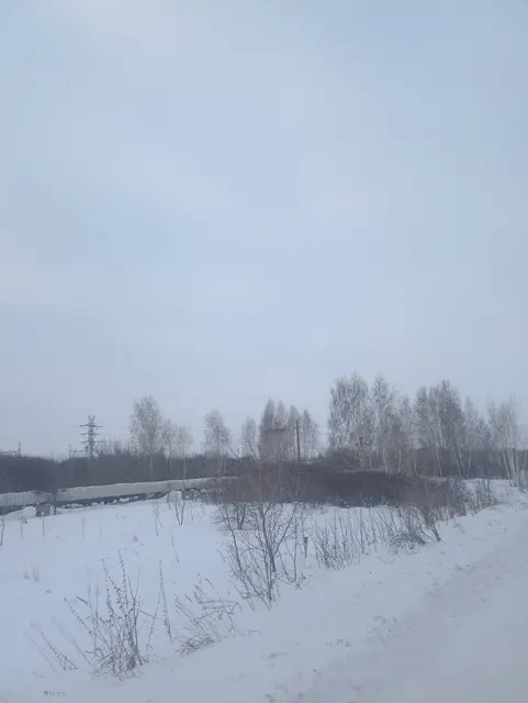 Земельный участок из состава земель населенных пунктов с кадастровым номером 55:36:030117:1024
