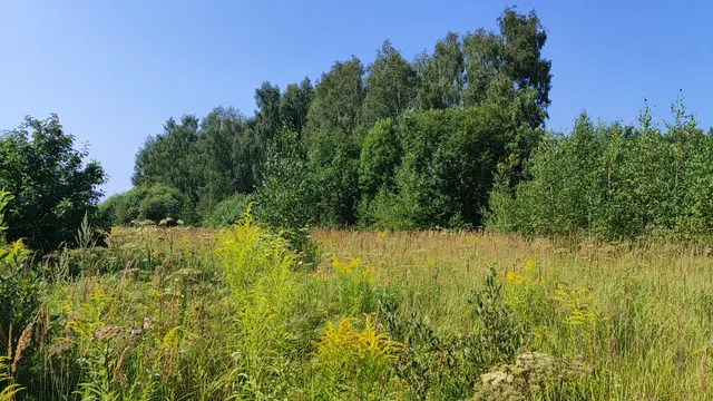 Аукцион в отношении земельного участка с КН 50:28:0110148:735