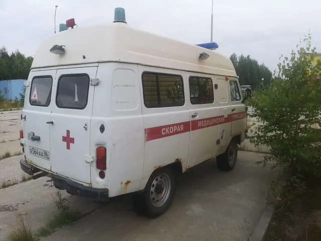 Транспортное средство Специализ.автомобиль (А/м скорой мед.помощи) УАЗ 396255, 2012 года изготовления, идентификационный номер (VIN) XТТ396255D0479414