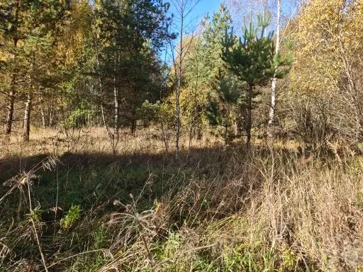 Аукцион в отношении земельного участка с КН 50:29:0010408:1393