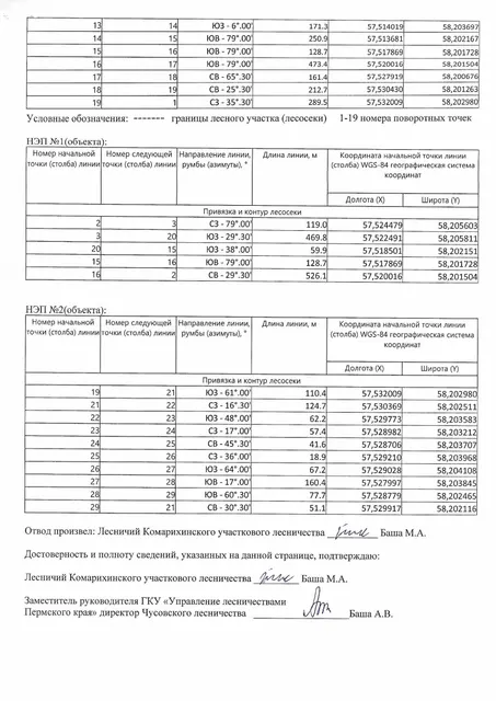 Аукцион на право заключения договора купли-продажи лесных насаждений для заготовки древесины субъектами малого и среднего предпринимательства.