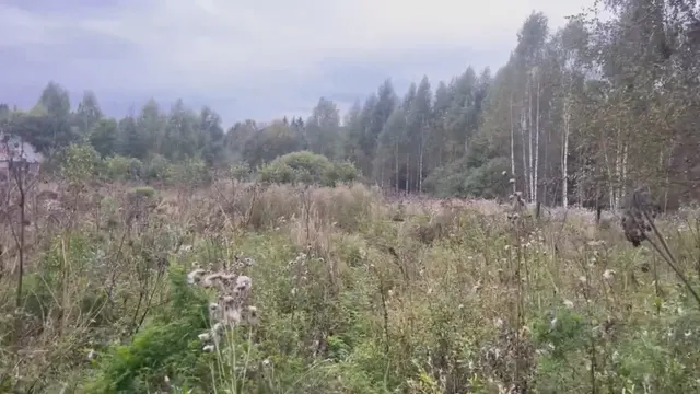Аукцион в отношении земельного участка с КН 50:01:0010143:87