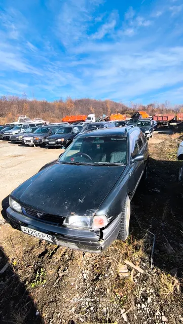 Автотранспортное средство               Nissan Wingroad, гос.знак:А225ЕР49    Год выпуска: 1996 Цвет: чёрный           Номер кузова: WFNY10121051