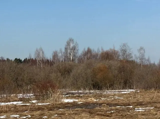 Аукцион в отношении земельного участка с КН 50:18:0080412:1424