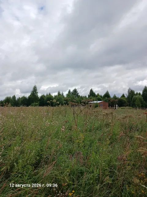 Аукцион в отношении земельного участка с КН 50:06:0010301:989