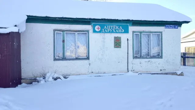 Здание аптеки №255 с кадастровым №16:33:070301:1799, общая площадь 78,6 кв.м., адрес: Республика Татарстан, Пестречинский муниципальный район, Шалинское сельское поселение, с Шали, ул Кзыл Юлдуз, д 24