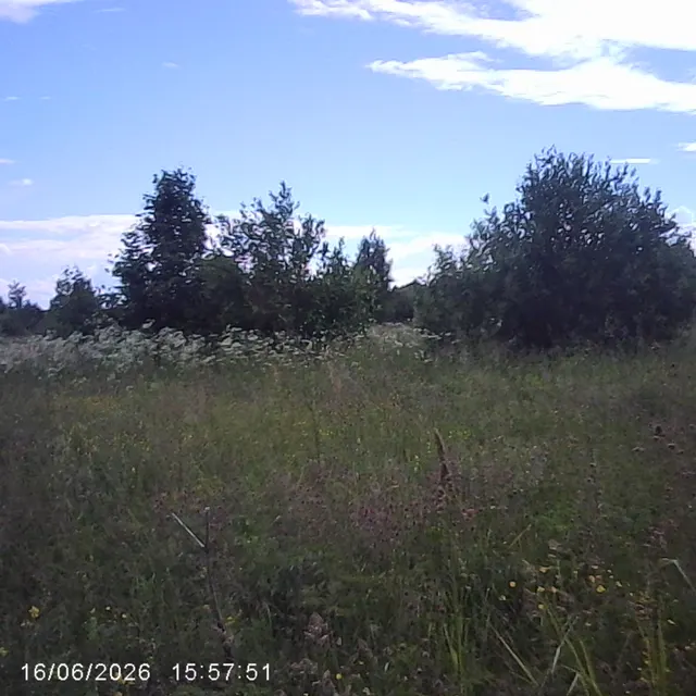 Аукцион в отношении земельного участка с КН 50:06:0100402:1103