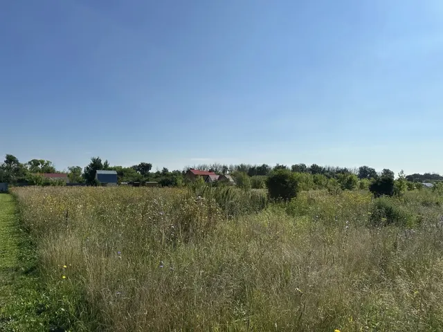 Аукцион в отношении земельного участка с КН 50:39:0050602:903
