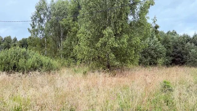 Аукцион в отношении земельного участка с КН 50:08:0080328:624