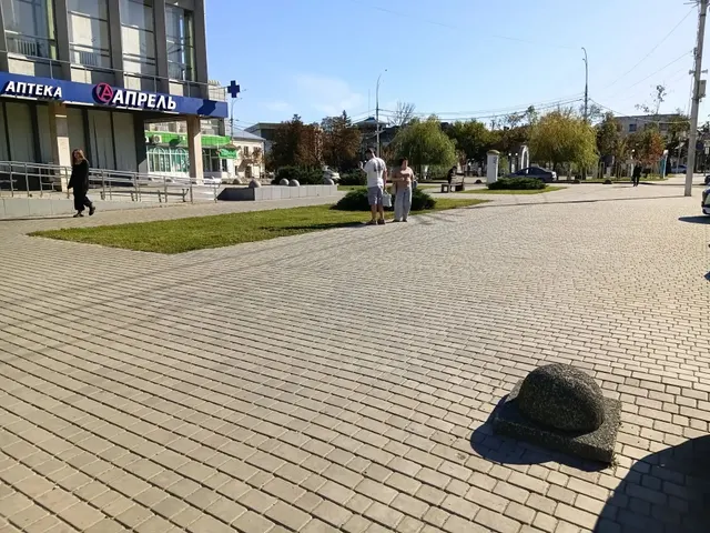 Размещение НТО елочный базар