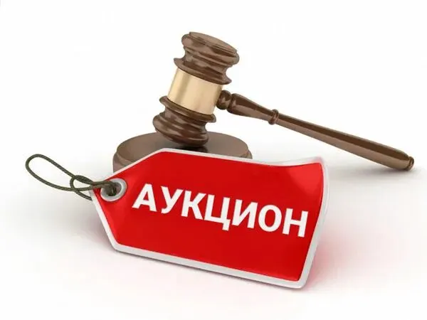 Комплекс Нежилых зданий площадью 97,40 кв.м. , 565,90 кв.м., 630,70 кв.м., 551,50 кв.м., 251,1 кв.м.,723,70 кв.м и земельный участок, категория земель: земли населенных пунктов, виды разрешённого использования: для обслуживания и использования нежилых помещений для производственных целей,  площадью 15836 кв.м. +44 кв.м.,  к/н 75:32:010333:488  по адресу:Забайкальский край, г. Чита, ул. Генерала Белика 46 стр. 8, стр. 9, стр. 10 стр. 11, стр. 12, стр. 21