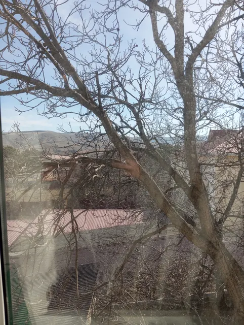 Объект аренды, площадь 11,8 кв. м., номер на поэтажном плане 3 этажа: 15,   адрес (местонахождение) объекта: Российская Федерация, Карачаево-Черкесская Республика, Хабезский район, а. Хабез, ул. У. Хабекова, д. 89